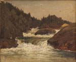 landscape with whitewater